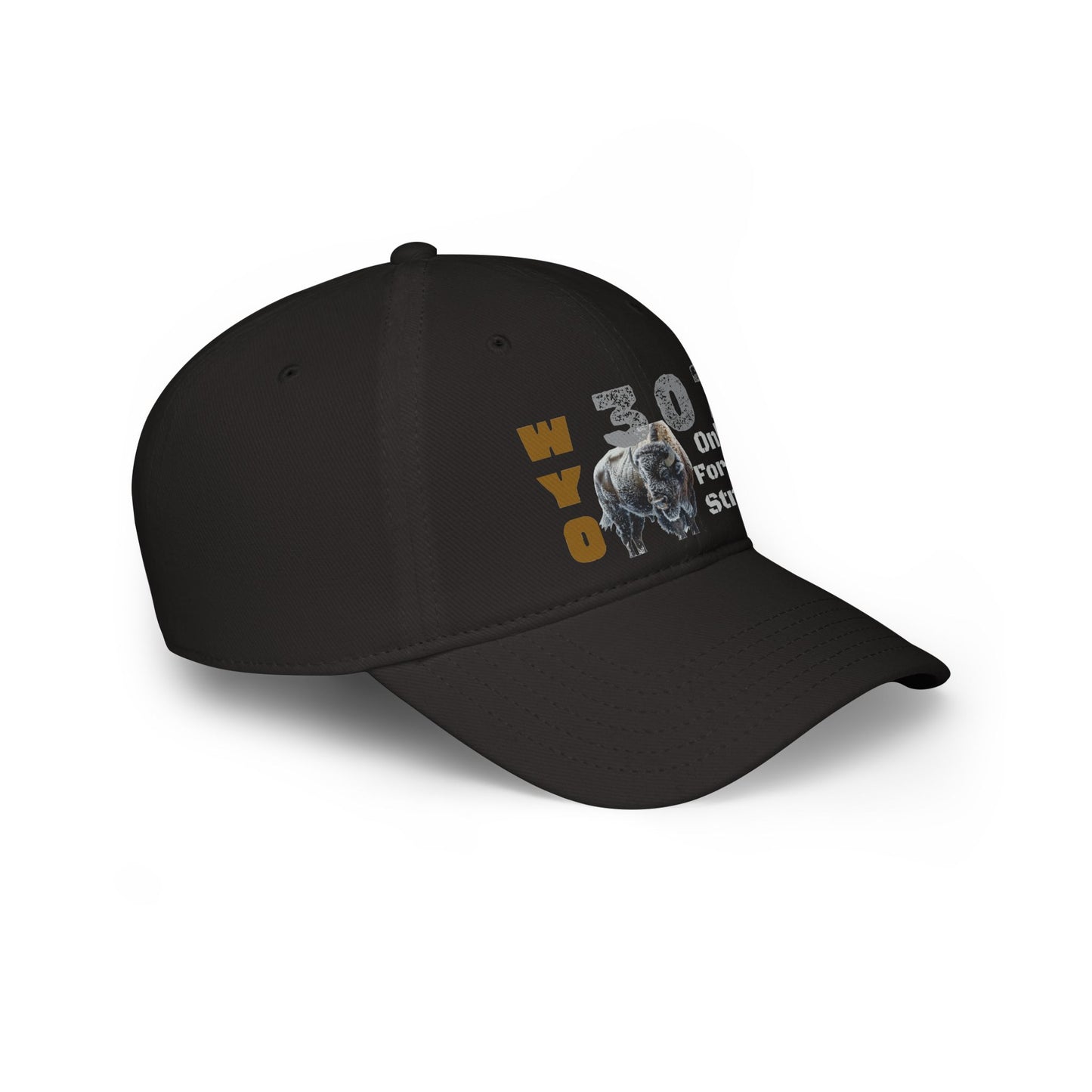 WYO 307 "Only For The Strong" Bison Hat |