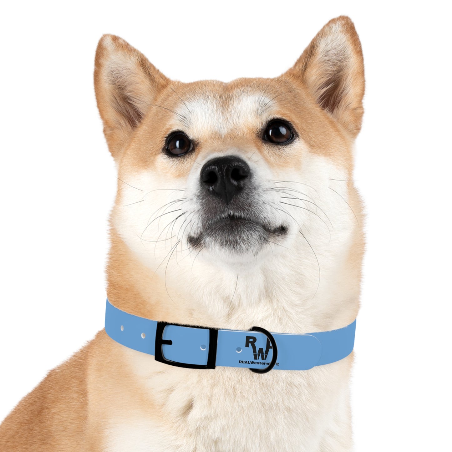 Customized Dog Collar with Ranch Name, Brand, and Dogs name's