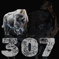 307 Stuff