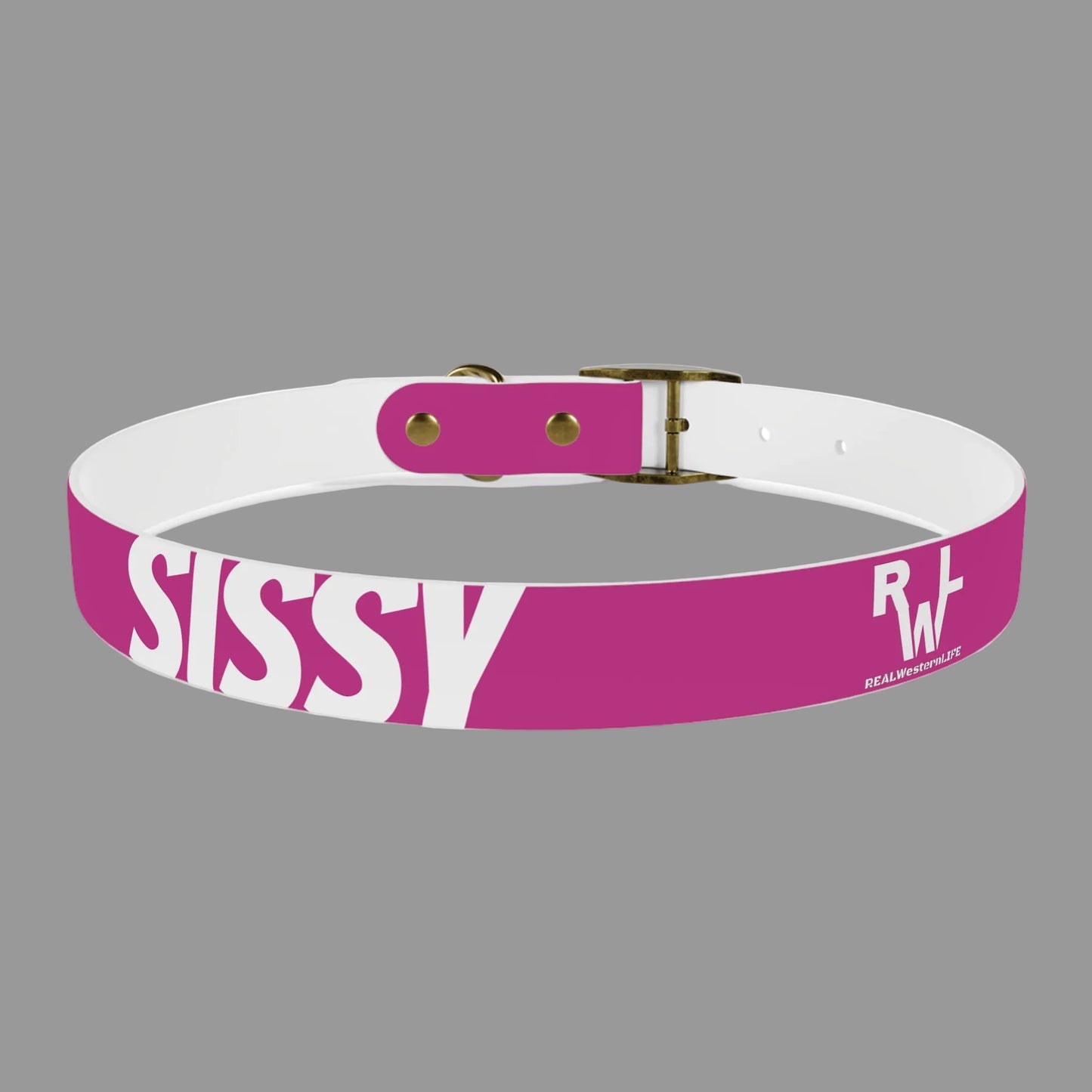 Dog Collar  - Pink - Customizable with your own Ranch/Brand, and Dogs name or leave it with RWL Branding and your dogs name.