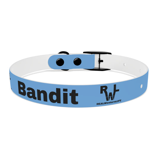 Customized Dog Collar with Ranch Name, Brand, and Dogs name's