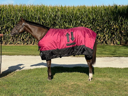 Horse Blanket