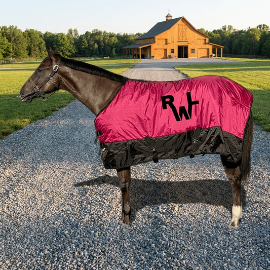 Horse Blanket